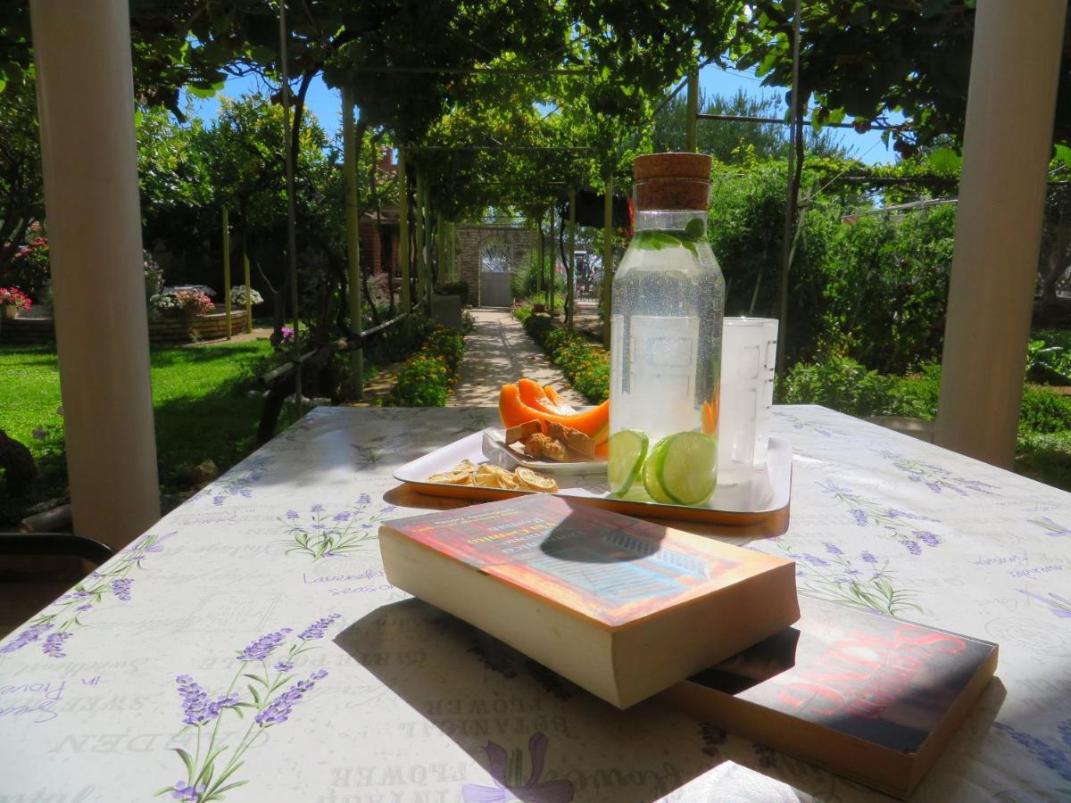 Beach Apartments Roza - The Garden Apartment Biograd Na Moru Extérieur photo