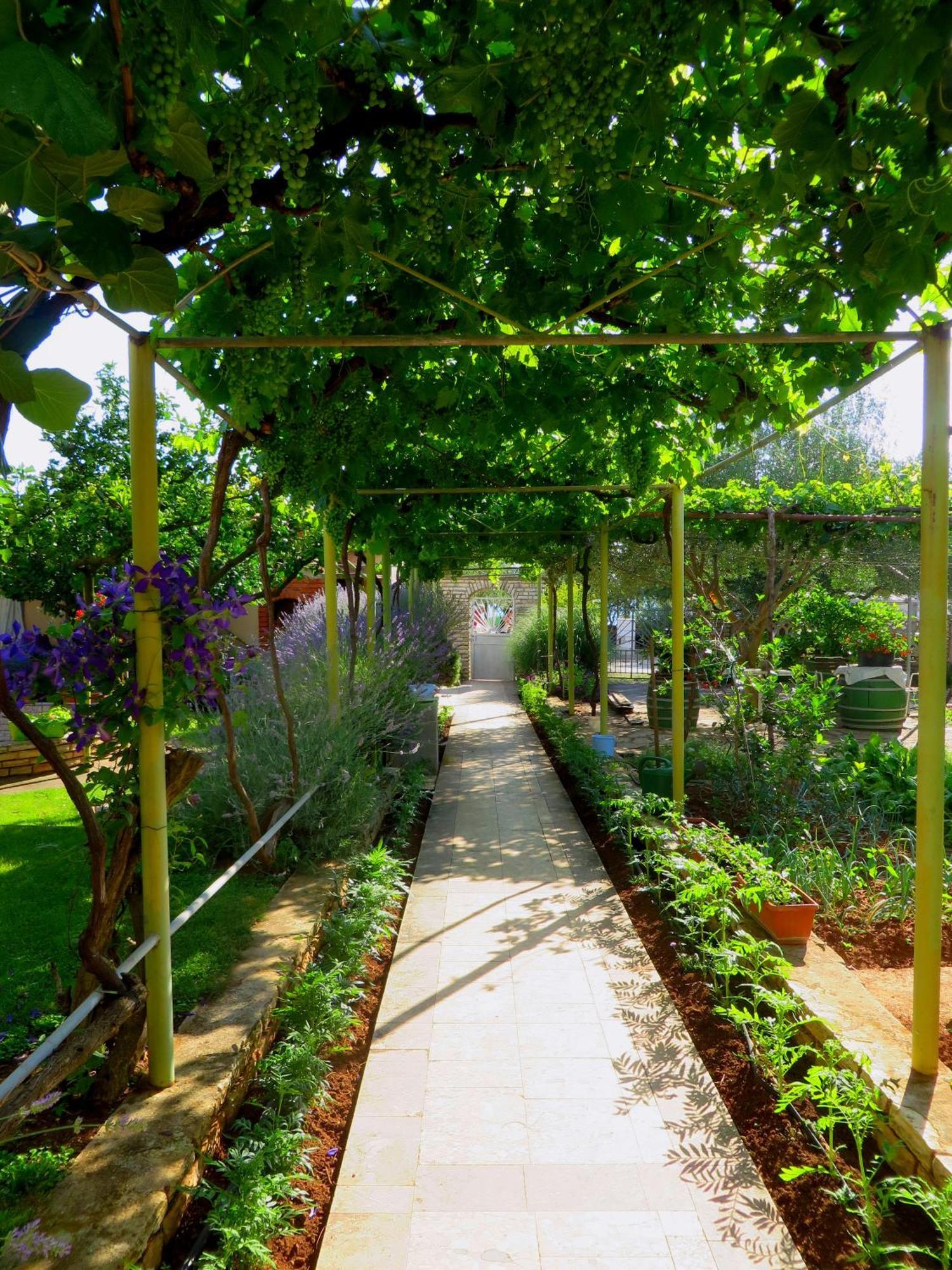 Beach Apartments Roza - The Garden Apartment Biograd Na Moru Extérieur photo