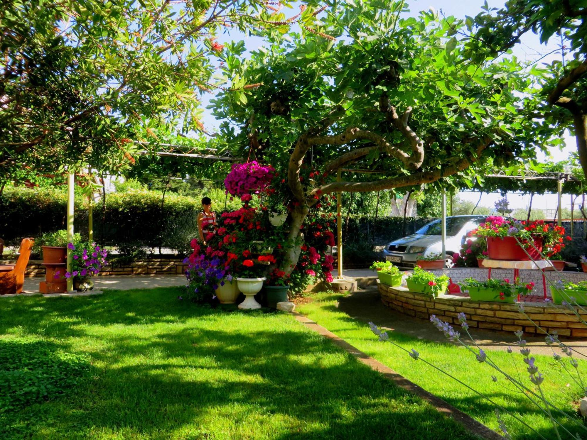 Beach Apartments Roza - The Garden Apartment Biograd Na Moru Extérieur photo