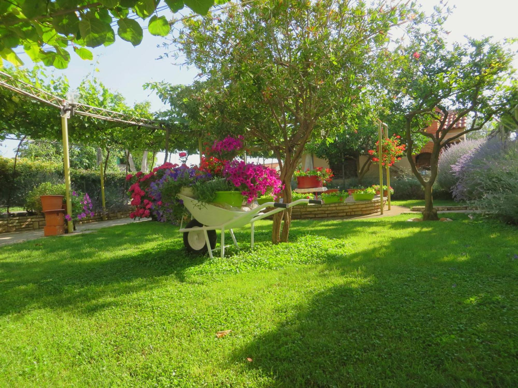 Beach Apartments Roza - The Garden Apartment Biograd Na Moru Extérieur photo